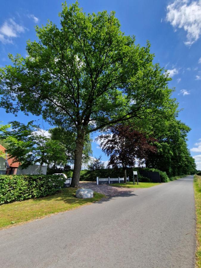 Friesenparadies Fri-Suedliches Friesland บอคฮอร์น ภายนอก รูปภาพ